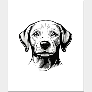 Labrador Black Pencil Style Posters and Art